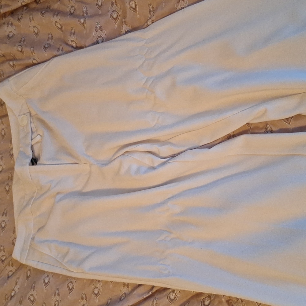 Dress pants